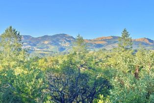 Residential Lot, #2 & #3 Enterprise road, Glen Ellen, CA 95442 - 41