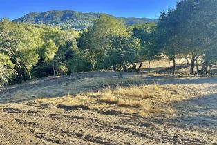 Residential Lot, Parcel 2 Enterprise road, Glen Ellen, CA 95442 - 15