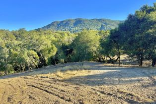 Residential Lot, Parcel 2 Enterprise road, Glen Ellen, CA 95442 - 16