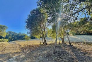 Residential Lot, Parcel 2 Enterprise road, Glen Ellen, CA 95442 - 14