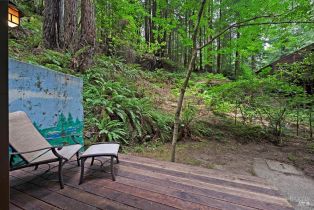 Single Family Residence,  Cazadero highway, Russian River, CA 95421 - 31
