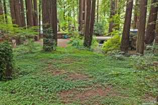 Single Family Residence,  Cazadero highway, Russian River, CA 95421 - 51