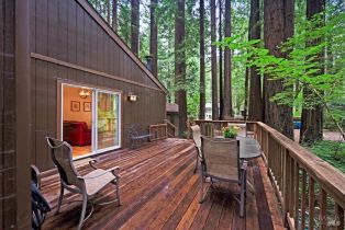 Single Family Residence,  Cazadero highway, Russian River, CA 95421 - 13
