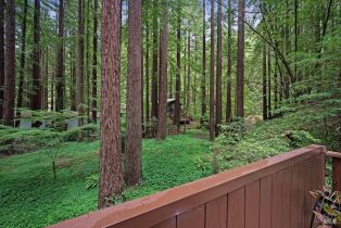 Single Family Residence,  Cazadero highway, Russian River, CA 95421 - 41