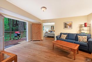 Single Family Residence,  Cazadero highway, Russian River, CA 95421 - 17
