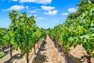 Single Family Residence,  Estee avenue, Napa, CA 94558 - 4