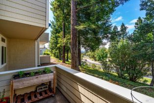 Condominium,  Stonefield lane, Santa Rosa, CA 95403 - 36