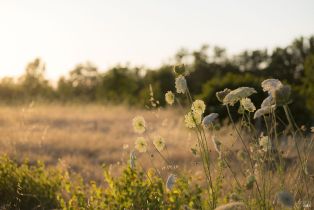 Residential Acreage,  Oakwild lane, Santa Rosa, CA 95401 - 21