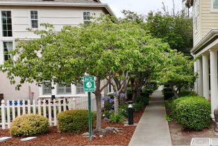 Single Family Residence, Appollo court, Napa, CA 94559 - 46