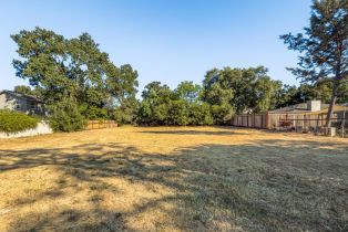 Residential Lot,  Walnut avenue, Sonoma, CA 95476 - 6