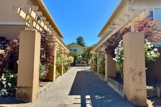 Single Family Residence,  Redwood avenue, Sebastopol, CA 95472 - 30