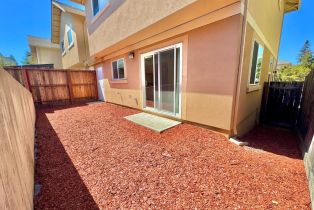 Single Family Residence,  Redwood avenue, Sebastopol, CA 95472 - 25