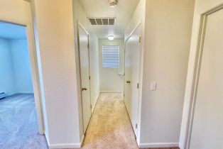 Single Family Residence,  Redwood avenue, Sebastopol, CA 95472 - 24