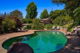 Single Family Residence,  Dry Creek road, Healdsburg, CA 95448 - 46