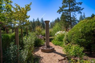 Single Family Residence,  Dry Creek road, Healdsburg, CA 95448 - 42