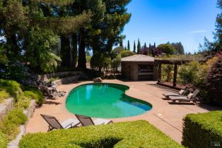 Single Family Residence,  Dry Creek road, Healdsburg, CA 95448 - 43