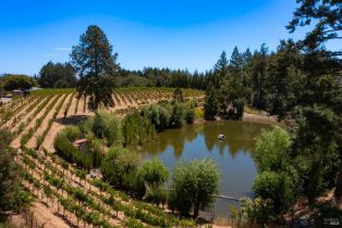 Single Family Residence,  Dry Creek road, Healdsburg, CA 95448 - 58