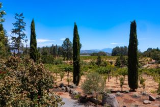 Single Family Residence,  Dry Creek road, Healdsburg, CA 95448 - 51