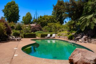 Single Family Residence,  Dry Creek road, Healdsburg, CA 95448 - 45