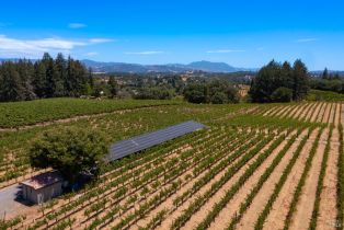 Single Family Residence,  Dry Creek road, Healdsburg, CA 95448 - 52