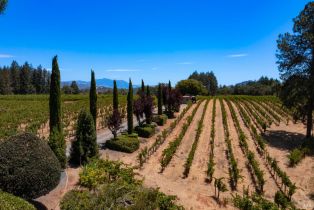 Single Family Residence,  Dry Creek road, Healdsburg, CA 95448 - 50