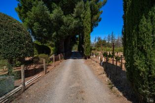 Single Family Residence,  Dry Creek road, Healdsburg, CA 95448 - 49