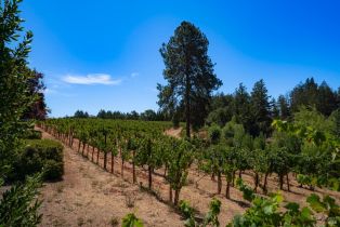 Single Family Residence,  Dry Creek road, Healdsburg, CA 95448 - 56