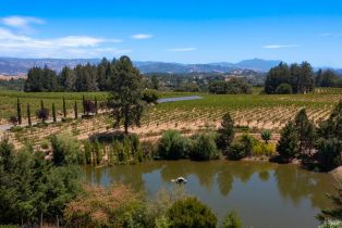 Single Family Residence,  Dry Creek road, Healdsburg, CA 95448 - 57