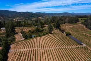Single Family Residence,  Dry Creek road, Healdsburg, CA 95448 - 53