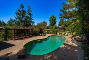 Single Family Residence,  Dry Creek road, Healdsburg, CA 95448 - 47