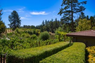 Single Family Residence,  Dry Creek road, Healdsburg, CA 95448 - 32