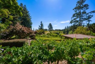 Single Family Residence,  Dry Creek road, Healdsburg, CA 95448 - 31