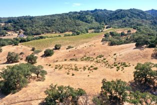 Single Family Residence,  Dutcher Creek road, Cloverdale, CA 95425 - 45