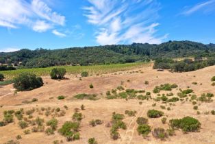 Single Family Residence,  Dutcher Creek road, Cloverdale, CA 95425 - 46