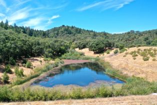 Single Family Residence,  Dutcher Creek road, Cloverdale, CA 95425 - 6