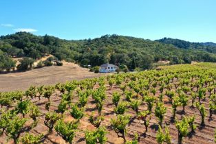 Single Family Residence,  Dutcher Creek road, Cloverdale, CA 95425 - 3