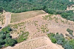 Single Family Residence,  Dutcher Creek road, Cloverdale, CA 95425 - 16