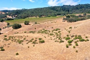 Single Family Residence,  Dutcher Creek road, Cloverdale, CA 95425 - 15