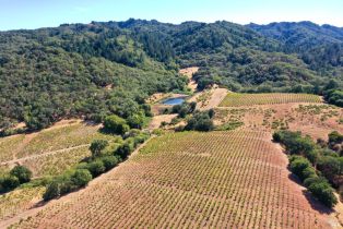 Single Family Residence,  Dutcher Creek road, Cloverdale, CA 95425 - 55