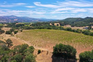 Single Family Residence,  Dutcher Creek road, Cloverdale, CA 95425 - 29