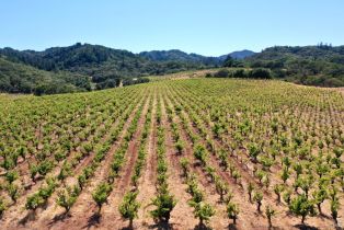 Single Family Residence,  Dutcher Creek road, Cloverdale, CA 95425 - 51