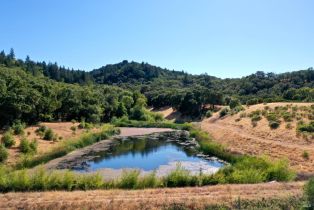 Single Family Residence,  Dutcher Creek road, Cloverdale, CA 95425 - 63