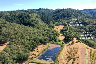 Single Family Residence,  Dutcher Creek road, Cloverdale, CA 95425 - 24