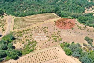 Single Family Residence,  Dutcher Creek road, Cloverdale, CA 95425 - 10