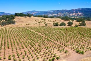 Single Family Residence,  Dutcher Creek road, Cloverdale, CA 95425 - 40