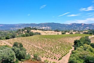 Single Family Residence,  Dutcher Creek road, Cloverdale, CA 95425 - 9