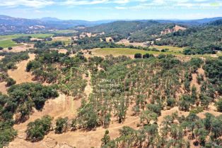 Single Family Residence,  Dutcher Creek road, Cloverdale, CA 95425 - 25