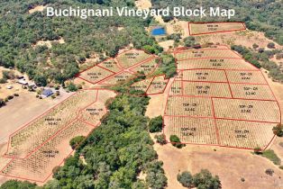 Single Family Residence,  Dutcher Creek road, Cloverdale, CA 95425 - 7