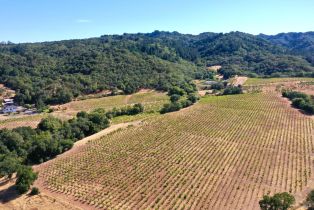 Single Family Residence,  Dutcher Creek road, Cloverdale, CA 95425 - 66