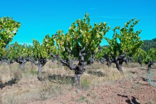 Single Family Residence,  Dutcher Creek road, Cloverdale, CA 95425 - 71